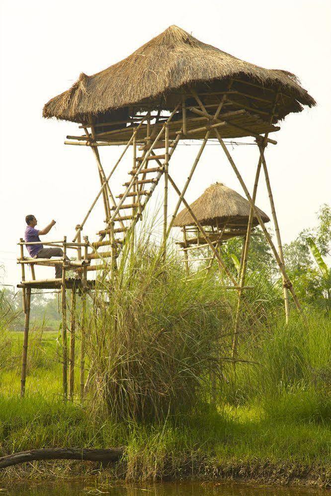 Maruni Sanctuary Lodge By Kgh Group Sauraha Eksteriør bilde