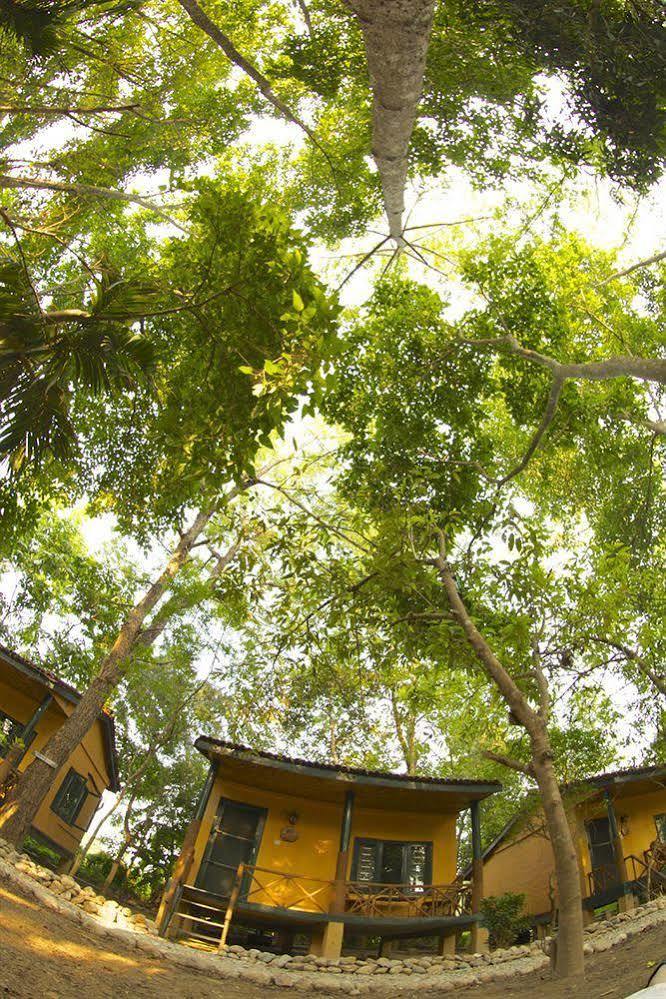 Maruni Sanctuary Lodge By Kgh Group Sauraha Eksteriør bilde