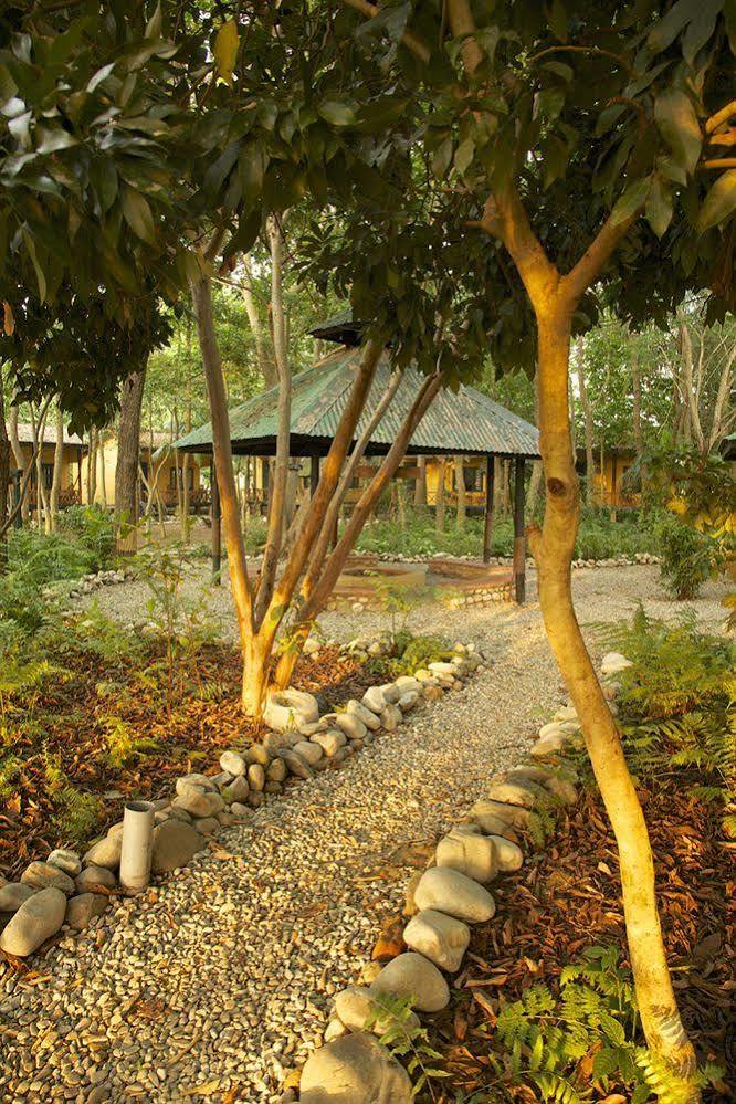 Maruni Sanctuary Lodge By Kgh Group Sauraha Eksteriør bilde